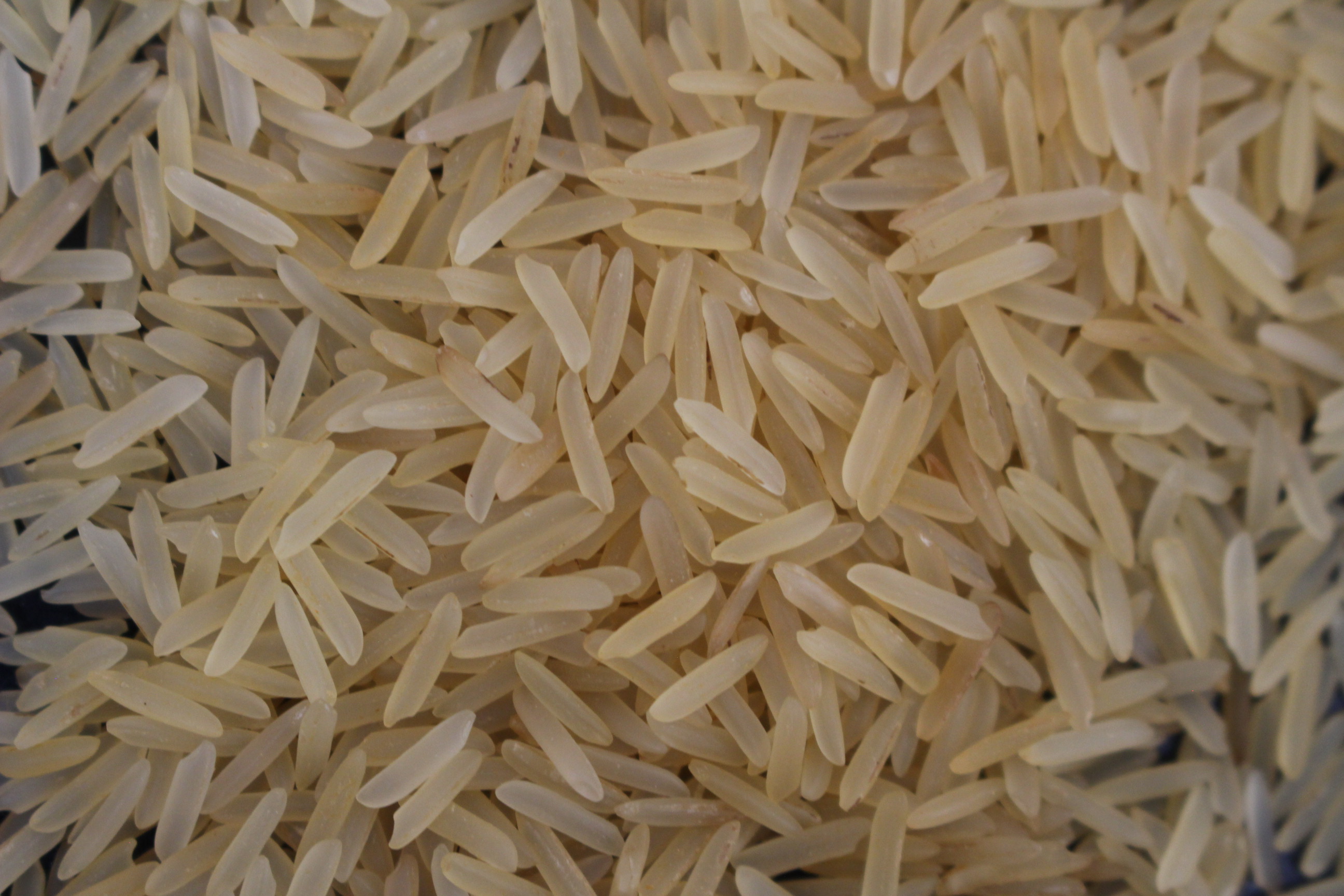 image rice